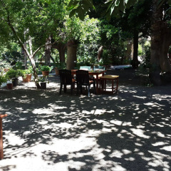 Cirali Olympos Hotel - Bild 12