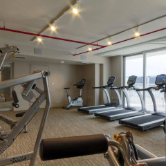 Pelicanstay in Coconut Grove Miami - Bild 12