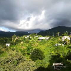 Matthew's Miracle View in Massacre, Dominica from 63$, photos, reviews - zenhotels.com photo 10