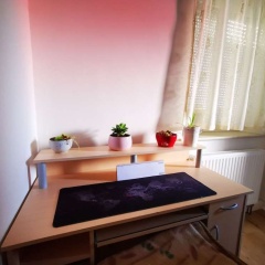Ulm 2-room Apartment Near University & City Centre - Bild 3