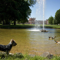 Hotel am Schlosspark - Bild 13