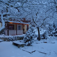 Ferienhaus Hagenwinkel - Bild 9