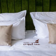 Hotel Carpat Inn in Azuga, Romania from 208$, photos, reviews - zenhotels.com photo 27