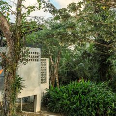 SELVA by DW in Luquillo, Puerto Rico from 933$, photos, reviews - zenhotels.com photo 46