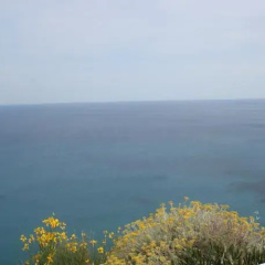 Maridea - Le Suites di Albachiara thumbnail 8