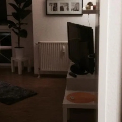 City-Suite Hildesheim - Bild 6