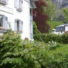 Romantic Pension Albrecht - Bild 12