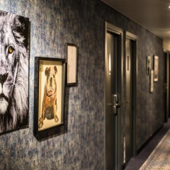 NYX Hotel Madrid by Leonardo Hotels - Bild 29