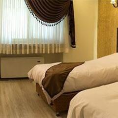 Hally Hotel in Tehran, Iran from 153$, photos, reviews - zenhotels.com photo 8