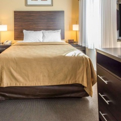 MainStay Suites Pittsburgh Airport thumbnail 3