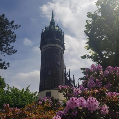Fewo "Mohnblume" am Stadtpark - Bild 9