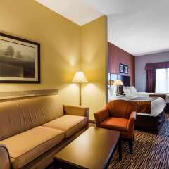 Comfort Suites Murfreesboro in Murfreesboro, United States of America from 148$, photos, reviews - zenhotels.com photo 14