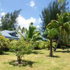 Villa Teareva Dream in Moorea, French Polynesia from 1396$, photos, reviews - zenhotels.com photo 6