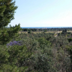 Tenuta la Siesta thumbnail 27