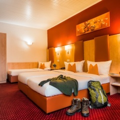 Rheinhotel Rüdesheim - Bild 7