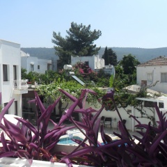 Costa Asmin Hotel - Bild 18