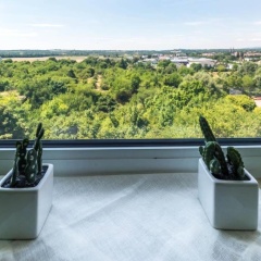 Richard Schirrmann Apartment - Bild 7