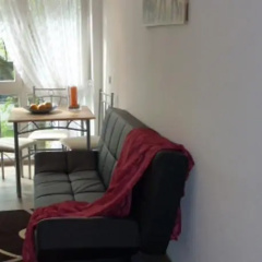 Ferienwohnungen in Freiburg - Bild 4