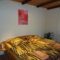 Pension Thaler Hof - Bild 4