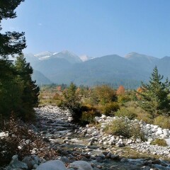 Apartment With 3 Bedrooms in Bansko, With Wonderful Mountain View, Poo in Bansko, Bulgaria from 97$, photos, reviews - zenhotels.com photo 19