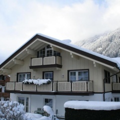Domizil Zillertal - Bild 13