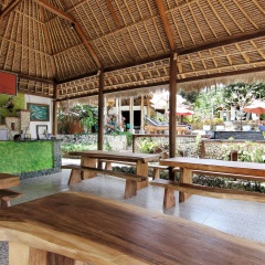 The Tanis Beach Resort Nusa Lembongan - Bild 29