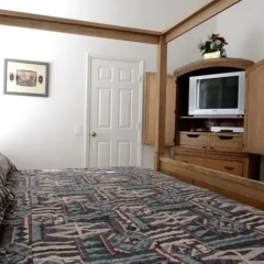 King Palm Home by Florida Dream Homes thumbnail 2