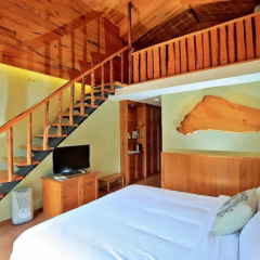 Hinoki House B&B thumbnail 11