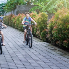 Desa Di Bali Villas - Bild 28