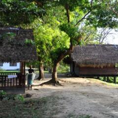 Danpaati River Lodge in Paramaribo, Suriname from 119$, photos, reviews - zenhotels.com photo 11