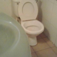 Bougainvillea Hotel - Bild 7