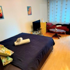 Ruhiges 2 Zimmer Apartment in Bern Zentrum - Bild 3
