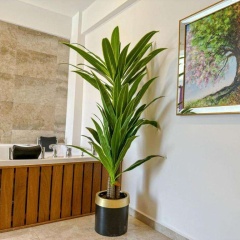Star Villa, Özel Havuzlu, Fethiye - Bild 1