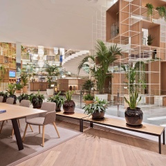 Melia Palma Marina - Bild 18