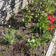 Fischerbude - Bild 10