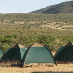 Mara Explorers Camp & Backpackers thumbnail 3