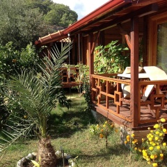 Turkuaz Bungalows - Bild 14