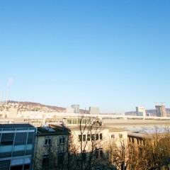 Letzigrund Apartments - Bild 1