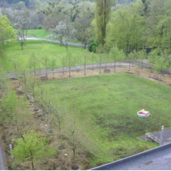 Robert-Schumann-Haus - Bild 13
