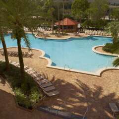 Rosen Centre Hotel in Orlando, United States of America from 234$, photos, reviews - zenhotels.com beach