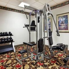 Holiday Inn Shreveport Downtown by IHG thumbnail 23