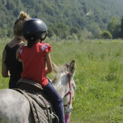 Wolf Village thumbnail 10