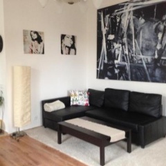 Exclusive apartment on Zborovska - Bild 9