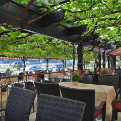 Hotel Unter den Linden - Bild 15