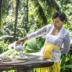DD Ubud Villa - Bild 17