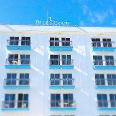 Blue Crane Hotel Apts in Limassol, Cyprus from 146$, photos, reviews - zenhotels.com photo 15