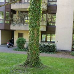 Max Aviation Villa & Apartments - Bild 13