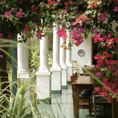 York Lodge thumbnail 10