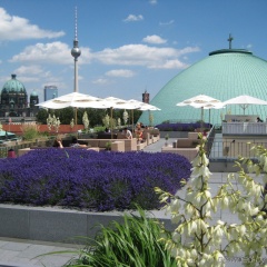Hotel De Rome Berlin - Bild 17