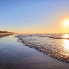 De Seekobb -beachgoers - Bild 10